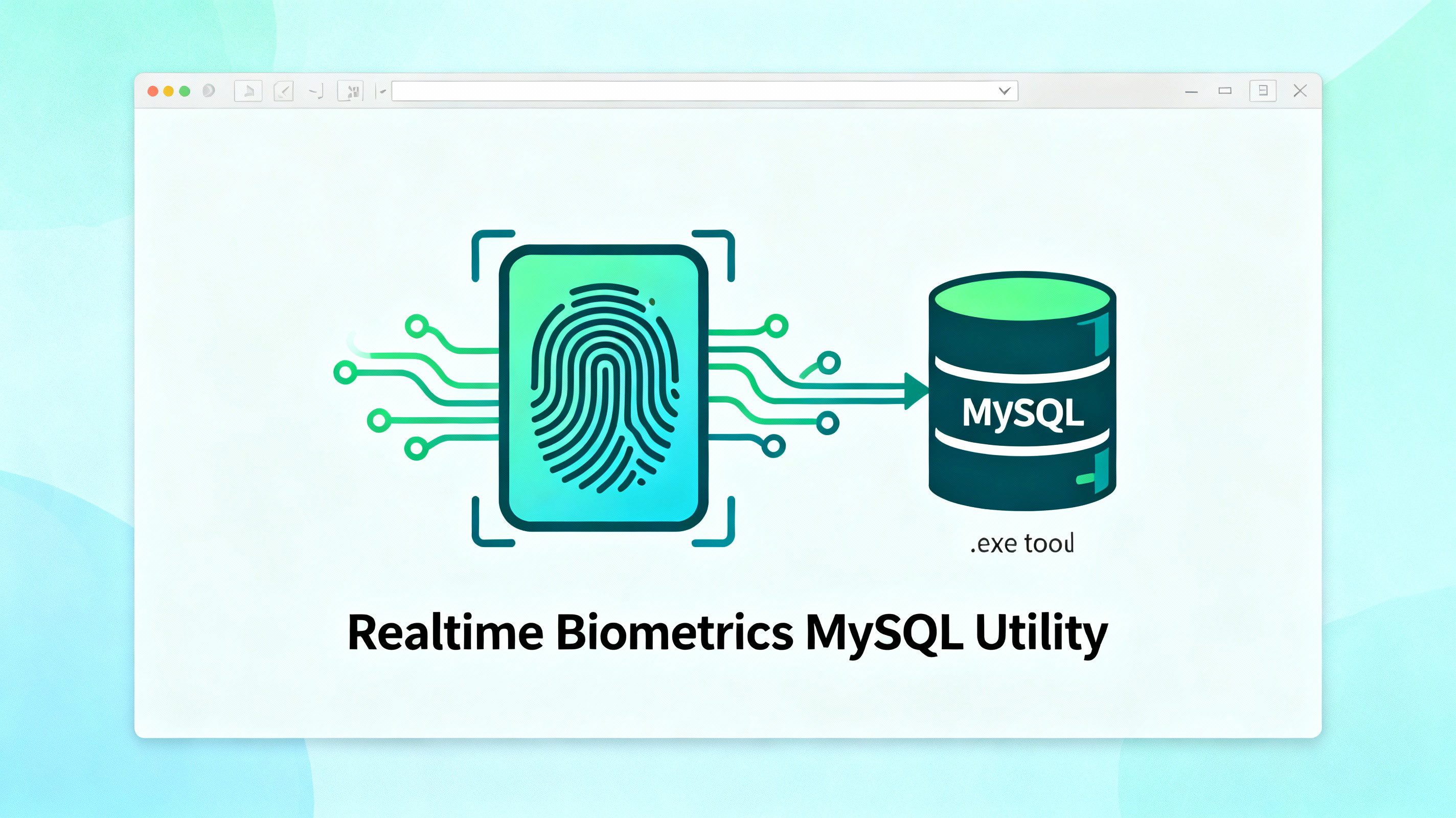 MySQL Utility